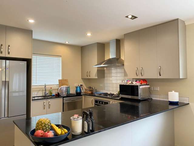 30 Springvale Drive Albany_3