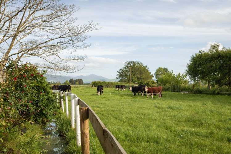 108 Old Netherton Rd Netherton Paeroa Paeroa_41