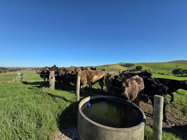 Lot 7 Mititai Road Dargaville_4
