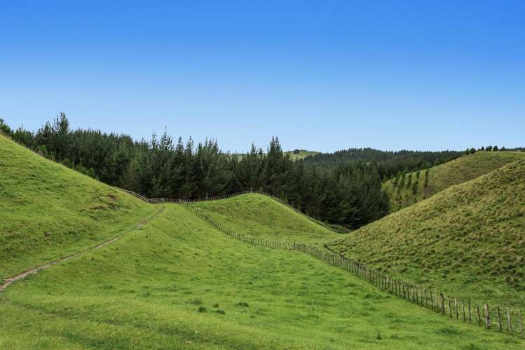 26 Settlement Road Pikowai_9