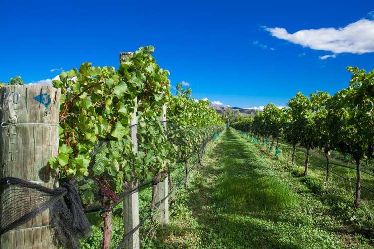 96 Smiths Way Cromwell_30