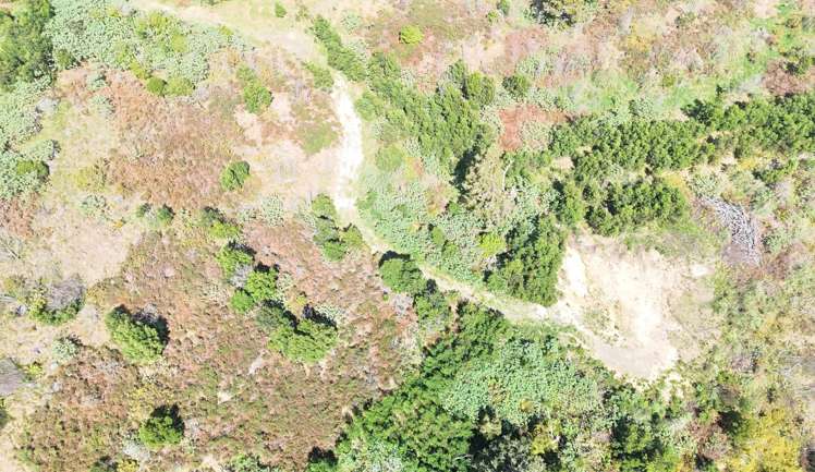 272 Waikuku Road Waimate North_8