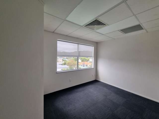 20 Pretoria street Lower Hutt Central_4