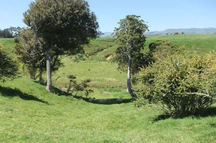 24 Ryland Park Levin_10