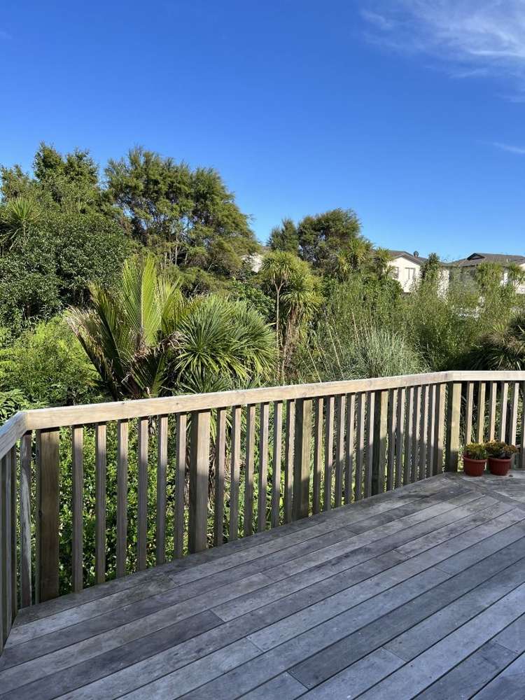 7 Wyon Way Flat Bush_19