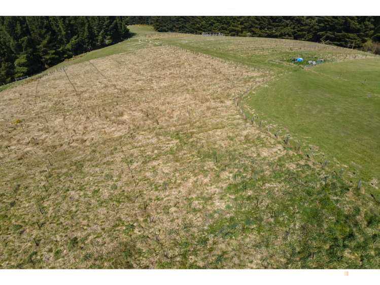 Downs Road Geraldine_4