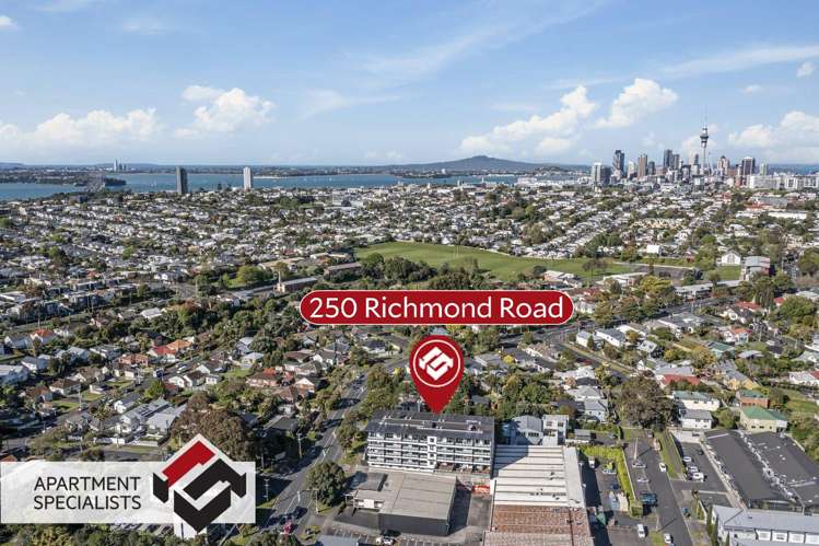 250 Richmond Grey Lynn_15
