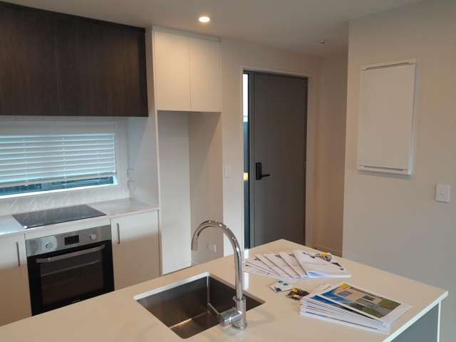 95 Simeon Street Spreydon_4