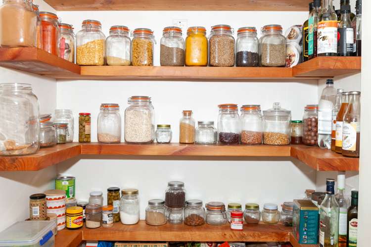 46 Onekaka Iron Works Road Kahurangi National Park_9