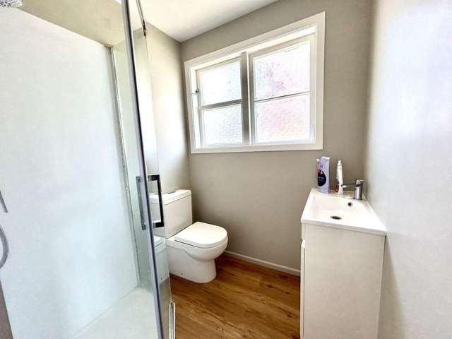 13 Rimu Street 1070_3