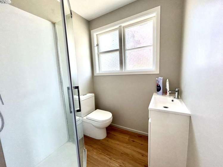 13 Rimu Street 1070_3