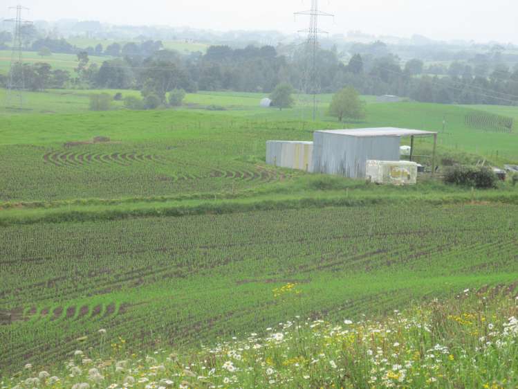 35 Grove Access Road Karamu_13