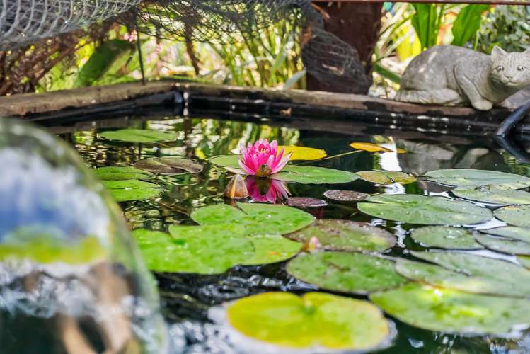 18 Timara Avenue Tikipunga_15