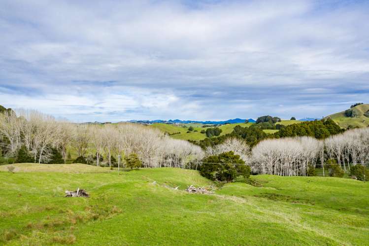 1891 Pipiwai Road Ruatangata_5