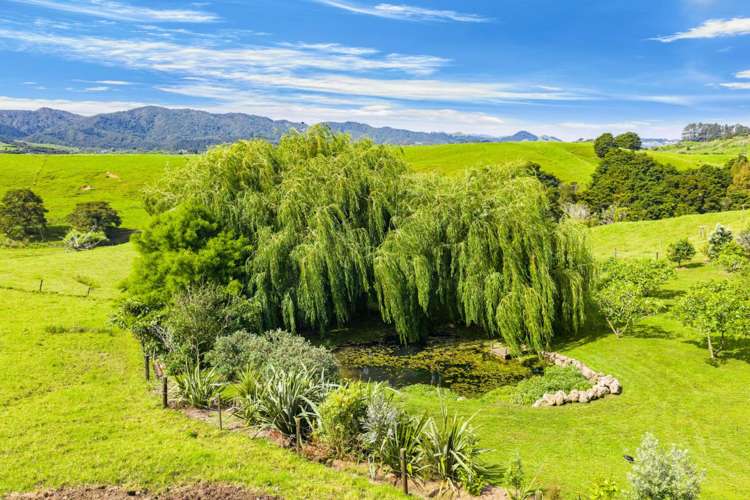 470 Tara Road Mangawhai_37