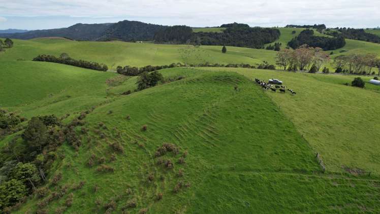 State Highway 10 Kaeo_11