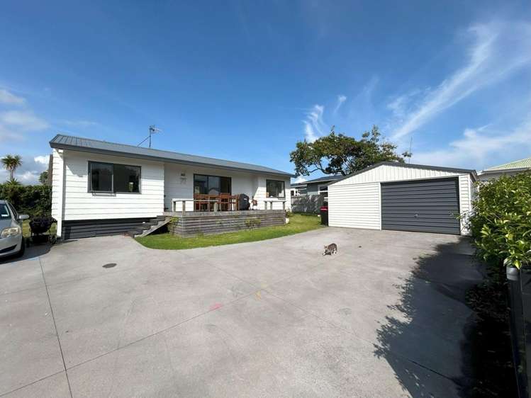 24B Maranui Street 11229_0