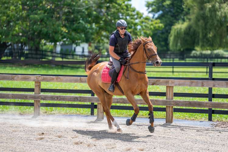 442 Bruntwood Road Tamahere_8