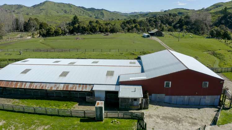 783 Glenroy Road Whangara_15