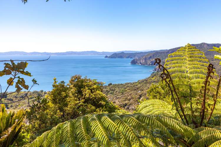 525g Tuateawa Road Tuateawa_3