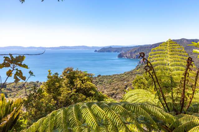 525g Tuateawa Road Tuateawa_3