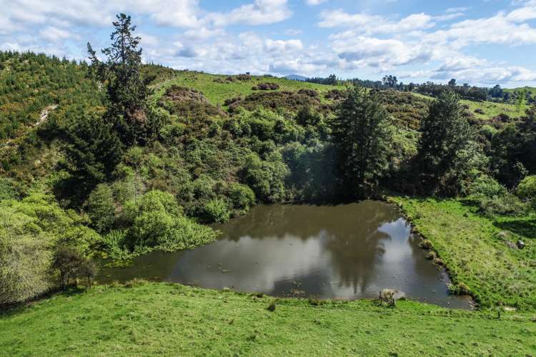 90 Blackbird Valley Road Upper Moutere_5