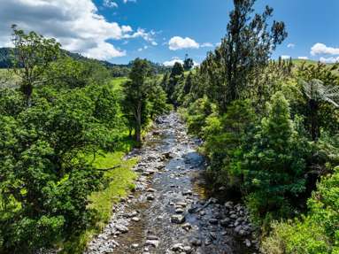 424A Hot Springs Road_2