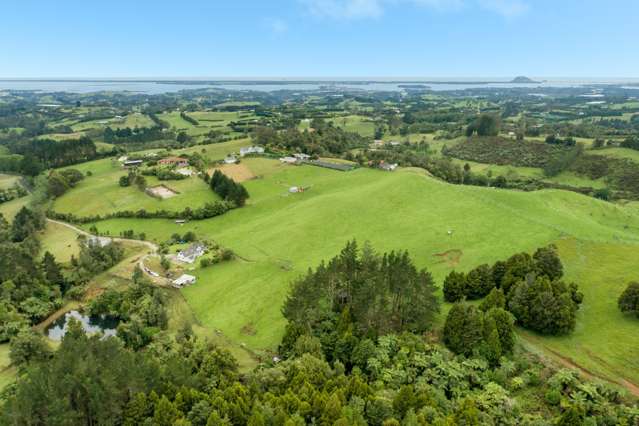 181 Tim Road Whakamarama_1