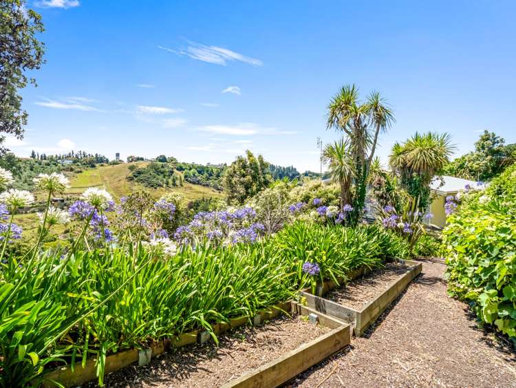 48 Portal Street Durie Hill_32