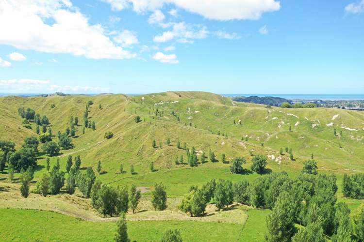 174 Clydebank Road Wairoa_18