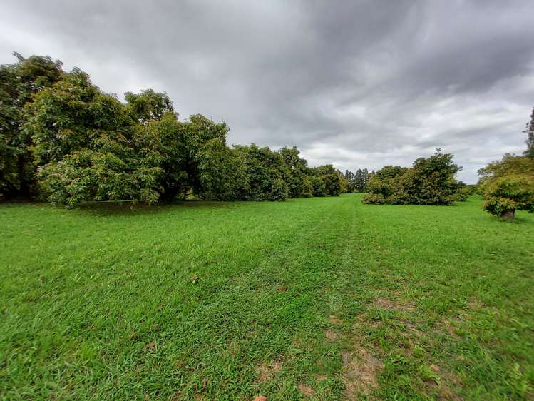 168 No 1 Road Te Puke_10