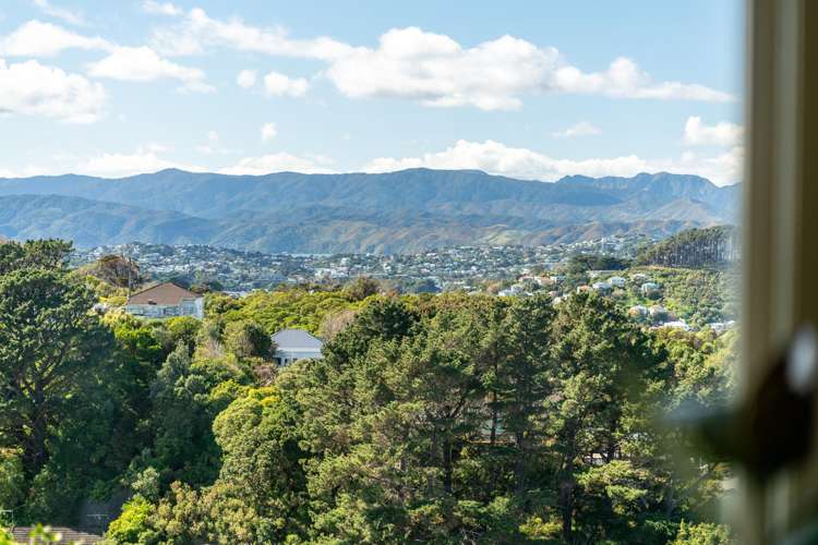 15a Hoggard Street Vogeltown_3