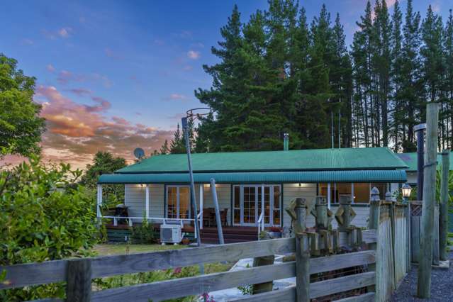 391 Apley Road Puketapu_1
