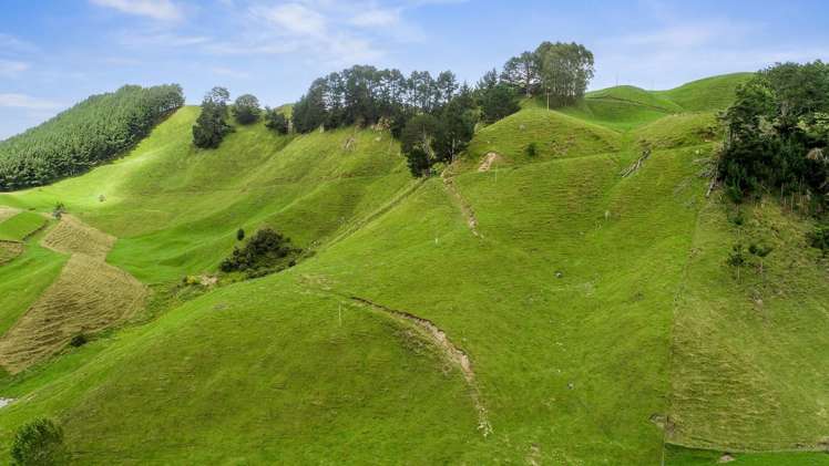 1765 Tutukau Road Kinloch_19