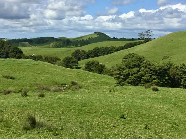 Lot 1 Wharehine Road Wellsford_2