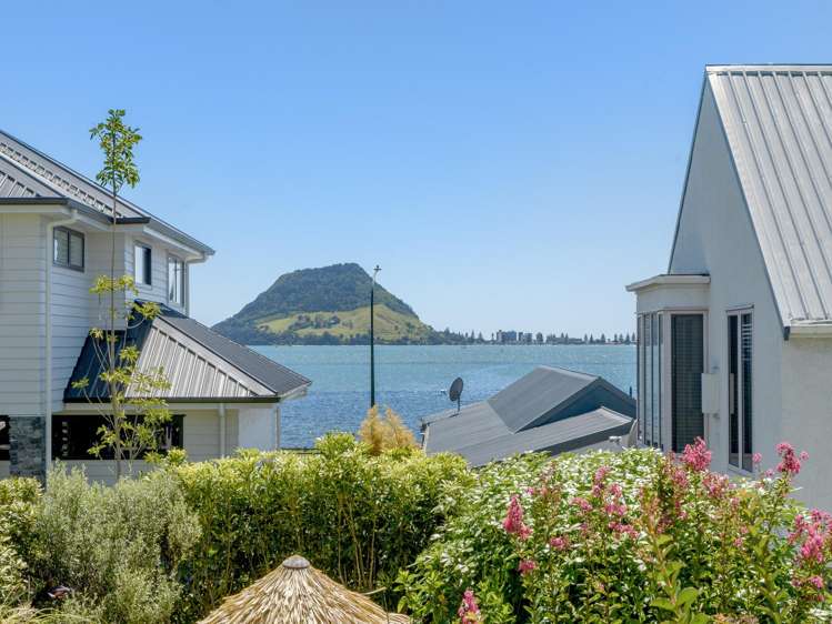 1/31 Kulim Avenue Otumoetai_17