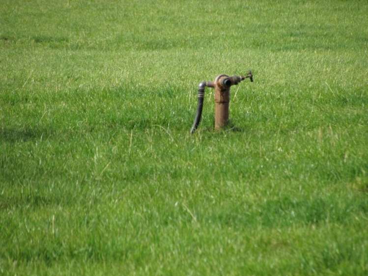 2246 Kahutara Road Kahutara_5