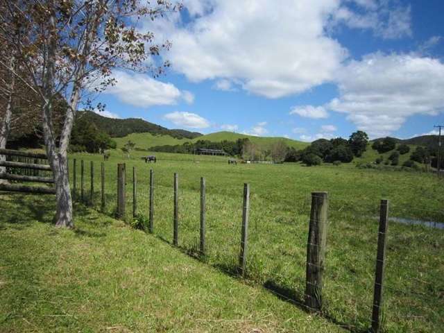 652 Manawaora Road Russell Surrounds_2