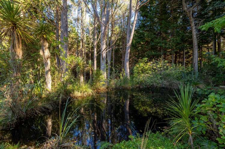 22 Herring Stream Road Motueka Valley_22