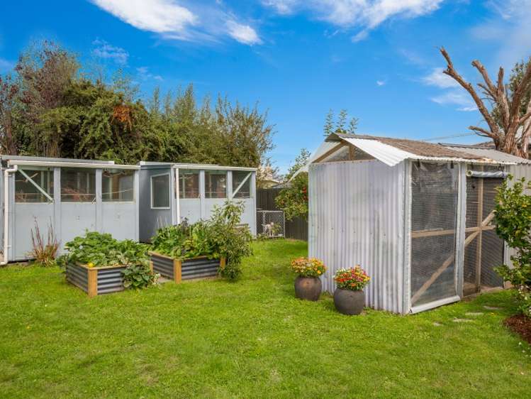 59 New Renwick Road Burleigh_15