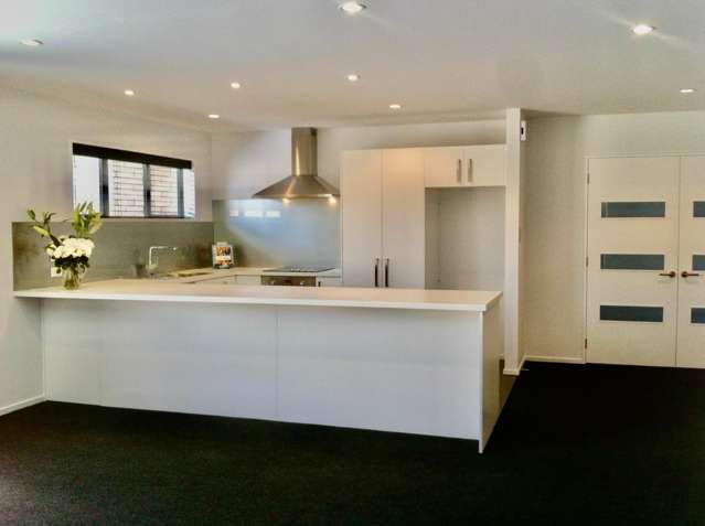 38 Kittyhawk Avenue Wigram_1