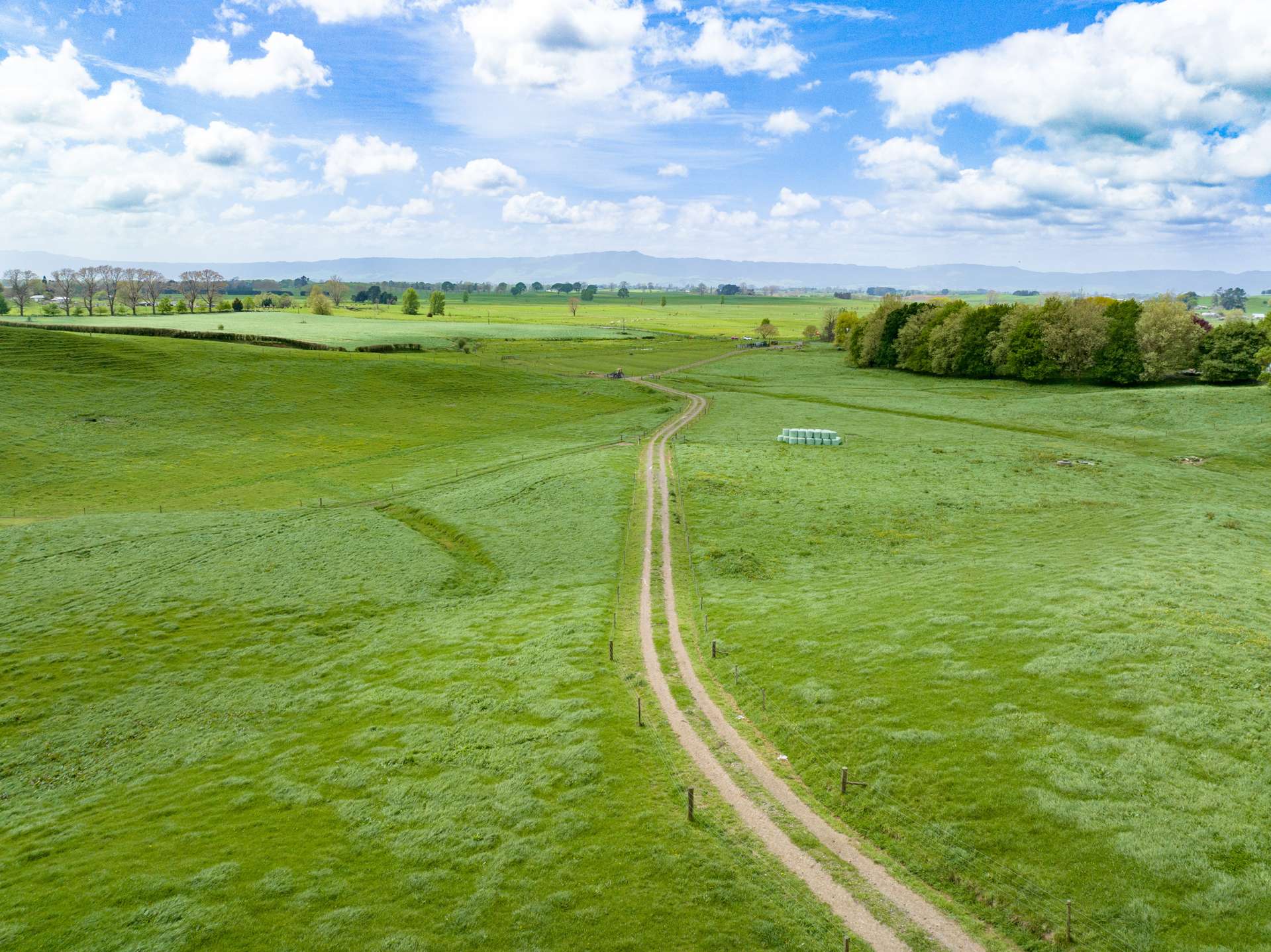 228 Pond Road Matamata_0