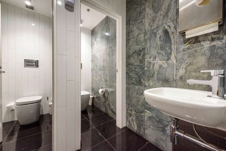 3 Vernon Street Freemans Bay_10