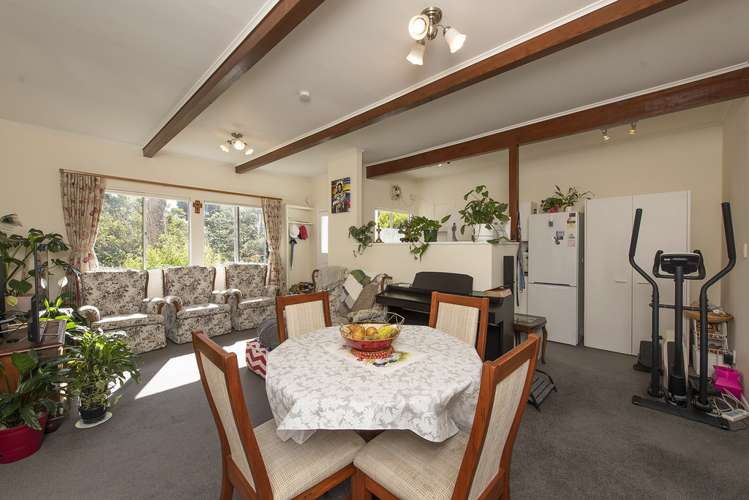 20 Selwyn Terrace Thorndon_16