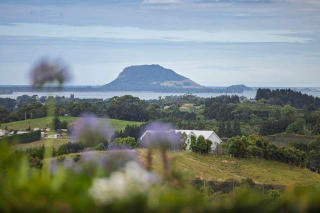 286 Youngson Road Whakamarama_3