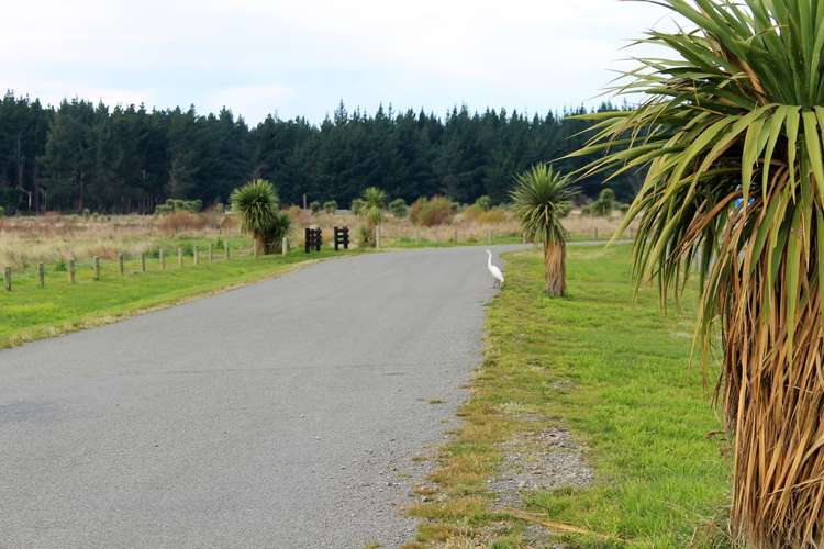 82 Tiritiri Moana Drive Pegasus_9