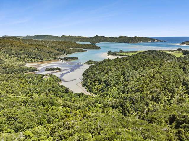 857 Dry Road Tasman_2