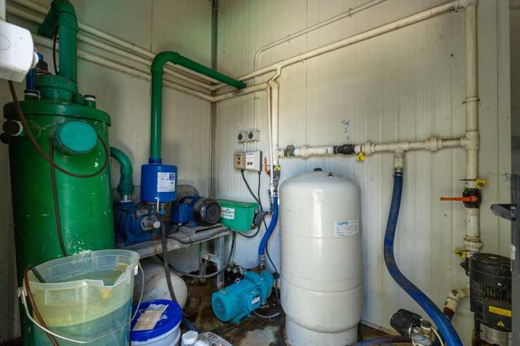 1153 Shenandoah Highway Murchison_9