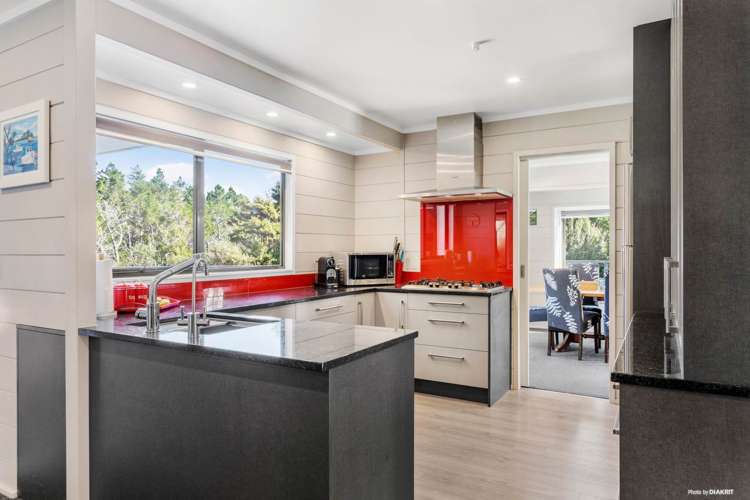 291 Horseshoe Bush Road Dairy Flat_5