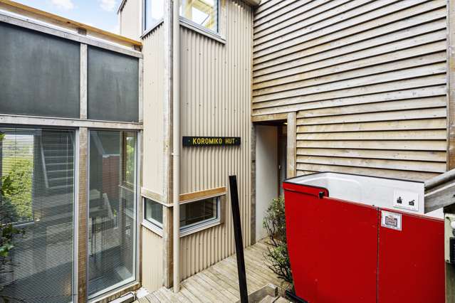 26b Koromiko Road Aro Valley_1